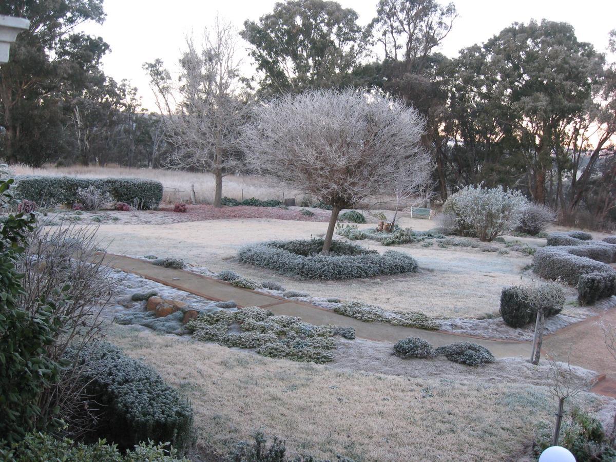 Whiskey Gully Wines Villa Stanthorpe Exterior photo